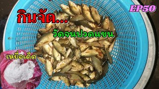 ตกปลาหมอด้วยเหยื่อเด็ดๆกินจัดวัดจนปวดแขน