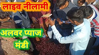 Onion Price की बड़ी खबर। रमेश भाई प्याज वाले की फड से अलवर प्याज मंडी राजस्थान