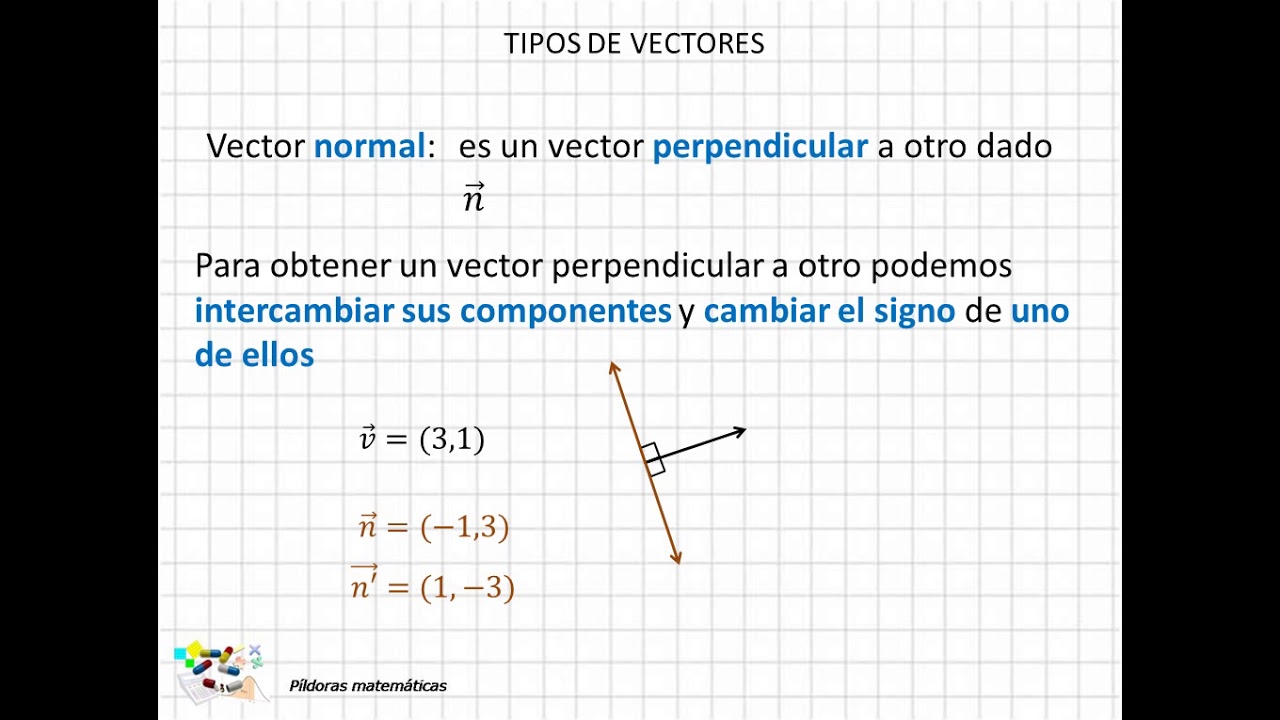 06 Tipos De Vectores - YouTube