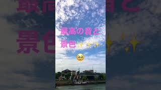 伝統のあやめ祭り✨#あやめ祭り #茨城県 #茨城　#潮来市　#short #shortvideo #shorts