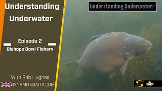 Carp Fishing: Understanding Underwater 2 - PVA special