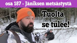 Osa 187 - Metsäjäniksen mailla - 2021/2022