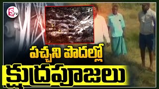 పచ్చని పొదల్లో క్షుద్రపూజలు..| Latest Updates || Peddapalli ||@sumantvkalwakurthy905