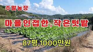 166번 마을 끝자락 남향으로 위치한 작은텃밭, 소액으로 주말농장 하기좋은땅.#경북당#의성땅#주말농장#군위땅#체류형쉼터#귀촌