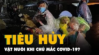 Tiêu hủy đàn chó khi chủ nhiễm COVID-19: Phải có cơ sở khoa học dịch tễ và pháp lý