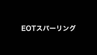 EOTスパーリングvol.3　溜飲トーナメント名回答集＆決勝戦