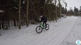 EMTB - Hardtail or full suspension for winter riding?