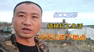 东北三郎正式下地点，明天备战500多亩水稻插秧打工生活，坚持吧