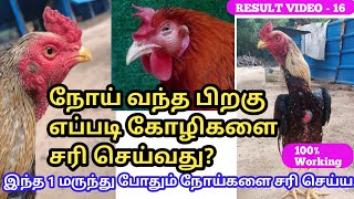 KRM HerbalMedicine Result video-16 |நொண்டுதல் மற்றும் ஆசன வாயில் எச்சம் #nattukozhi #herbalmedicine