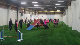 YLÖKK agility 28.1.-24 1- ja 2lk