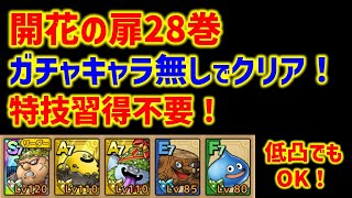 【ドラクエタクト】開花の扉28巻 ガチャキャラ無しでクリア！特技習得不要！低凸でもOKです！立ち回り解説