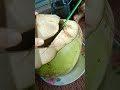 panas panas gini enaknya minum kelapa muda