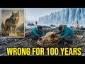 The Dire Wolf Was Never Who We Thought — DNA Finally Revealed The Truth