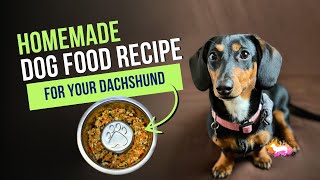 Homemade Dachshund Food Recipe: Easy, Healthy, and Picky-Eater Approved!
