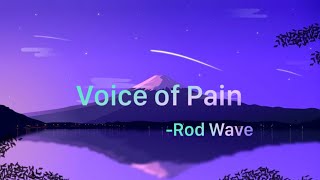 Rod Wave - Voice of Pain🗣️ (Lyrics)