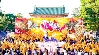 [4K] 京炎 そでふれ！彩京前線 【決勝演舞】　京都学生祭典 2024