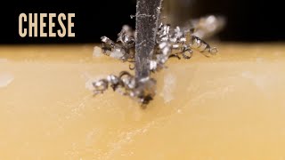 Why You Should Wash Knife After Sharpening