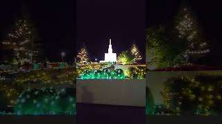 ക്രിസ്ത്മസ് lights തീർന്നിട്ടില്ലട്ടോ guys | New Zealand Mallu #templeviewlights  #newzealandmallu