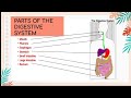 DIGESTIVE SYSTEM #SCIENCE #lesson #sciencelesson #Grade6