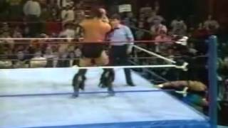 Mr. Perfect vs Damian Demento