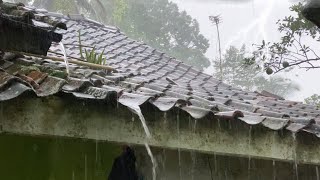 NGABUBURIT!! Hujan Deras Mengguyur Kampung Yang Indah, Udaranya Sejuk, Suasana Pedesaan Jawa Barat