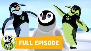 Wild Kratts FULL EPISODE! | Mystery of the North Pole Penguins | PBS KIDS