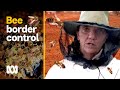 Border Force officer for 'the ones that sting and bite' | Landline | ABC Australia