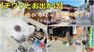 【チワワとお出かけ】穴場！ペット連れでもゆっくり観光できる『岩村城下町』