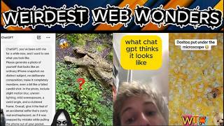weirdest web wonders vol 190