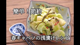 【作り置き・春キャベツレシピ】手作りならではの美味しさ！！節約にもなる春キャベツの簡単浅漬けの作り方