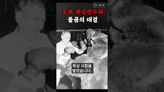 프로 복서 vs. 불곰