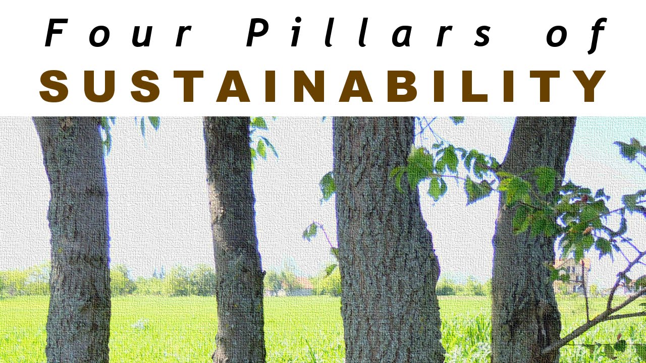 Four Pillars Of Sustainability #storyhopper - YouTube