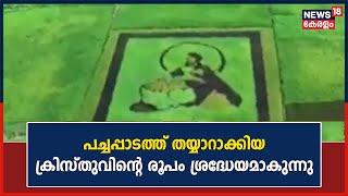 Wayanad Sultan Batheryയിൽ പച്ചപ്പാടത്ത് തയ്യാറാക്കിയ ക്രിസ്തുവിന്റെ രൂപം ശ്രദ്ധേയമാകുന്നു