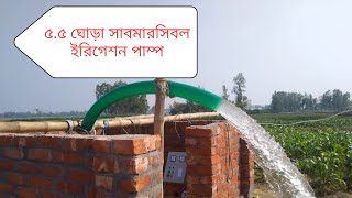 ৫.৫ ঘোড়া সাবমারসিবল ইরিগেশন পাম্প