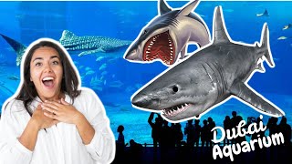 Dubai Aquarium and Underwater zoo | sharks and crocodiles | 2020 shark tank travel vlog uae dubai