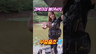 더위를 식혀줄 우중출조!! 붕어를 부탁한다!!!새물찬스!!!😆#fishing#붕어낚시#경북의성낚시#새우낚시#저수지날씨#우중출조#민물낚시