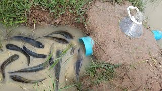 Creative Boys Make Simple Deep Hole Fishing Trap With Bottle & PVC Pipe For Catch Alot Of Fish