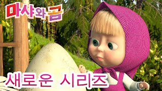 마샤와 곰 💥새로운 시리즈💥🐧 펭귄과의 만남 🐻👱‍♀️ 가족의 날 💕Masha and the Bear