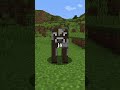 dados bizarros dos jogadores do minecraft