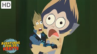 Aventuras com os Kratts - Insetos ou Macacos (Episódio Completo - HD)