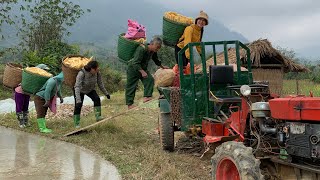 agricultural transport vehicle