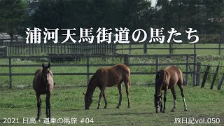 浦河天馬街道の馬たち | 2021 日高・道東の馬旅 #04 【旅日記vol.050】