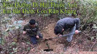 Team Đoàn Dương Vừa Hái Thuốc Thì Bắt Được Con Hàng Khủng ...