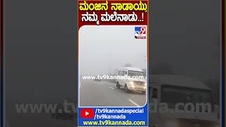 Chikmagalur Fog: ಮಂಜಿನ ಮಧ್ಯೆ ಕಳೆದೋದ ಚಾರ್ಮಾಡಿ ಘಾಟ್..ಪ್ರಕೃತಿಯ ಸೌಂದರ್ಯಕ್ಕೆ ಪ್ರವಾಸಿಗರು ಫಿದಾ | #TV9D