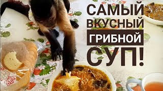 Пробуем бабушкин грибной суп.