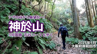 【週末さんぽ】初心者さんにオススメ♪神於山 シダの谷から絶景の展望台へ  /2025年1月26日/大阪府岸和田市