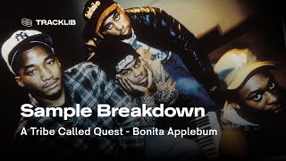 Sample Breakdown: A Tribe Called Quest - Bonita Applebum