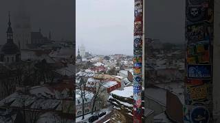 Patkuli Viewing Platform | Tallinn Old Town | Estonia | UNESCO World Heritage | Baltics #tallinn