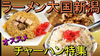 オススメチャーハンを21店！新潟ラーメン巡り！チャーハンダイジェスト！