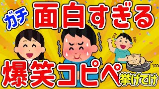 【2ch面白いスレ】危険！電車で見るな！爆笑ｗなごむコピペまとめ伝説級集めたよｗ【ゆっくり解説】